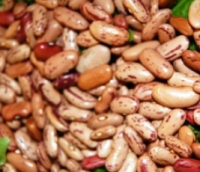 Feijão Catarino descascado